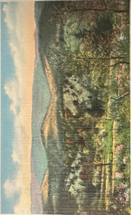 Mutton Hollow, Shepherd of the Hills, Branson, Missouri - Vintage Postcard