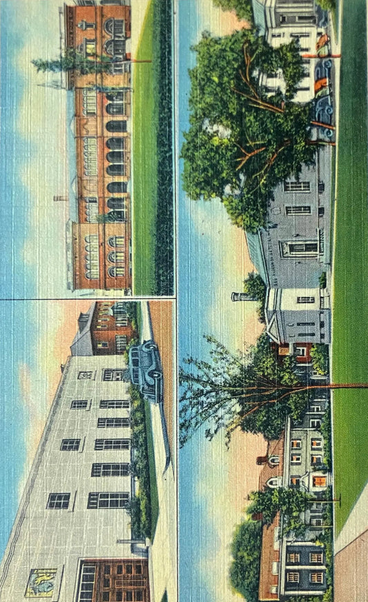 The Quadrangle of the Metro Center of Springfield, Massachusetts - Compiled of Museums and Cultural Institutions - Vintage Postcard