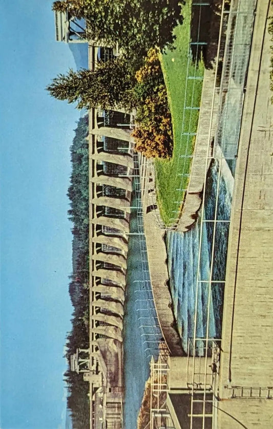 Fish Ladder and Bonneville Dam, Oregon - Vintage 1950s Postcard