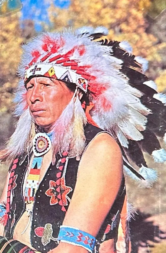 Indian in Full Dress, South Dakota - Vintage Postcard