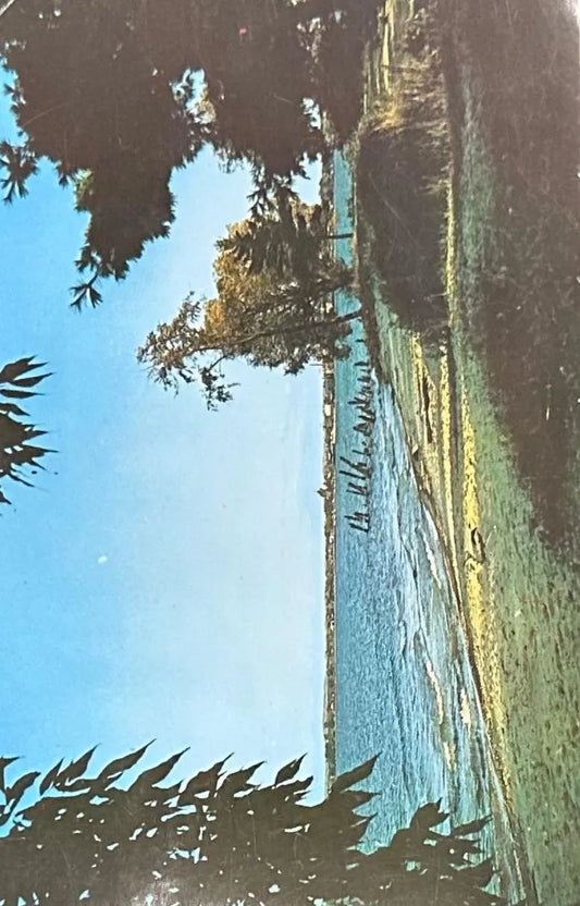 West Arm of Grand Traverse Bay with Traverse City on the Skyline, Michigan - Vintage Postcard