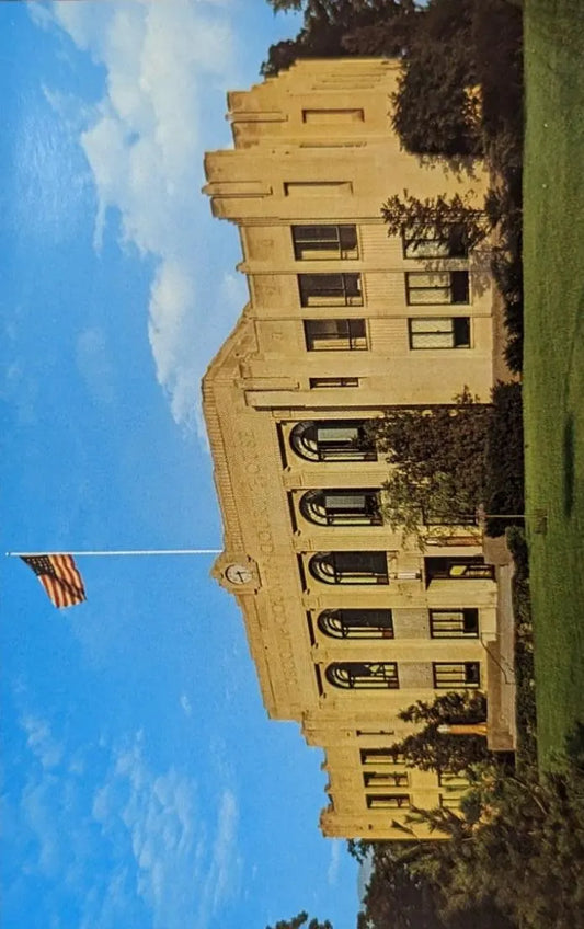 Tuscola County Court House, Caro, Michigan - Vintage Postcard