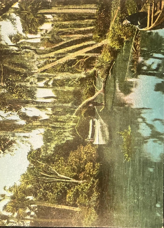 View on the Tomoka, Florida - Vintage Postcard