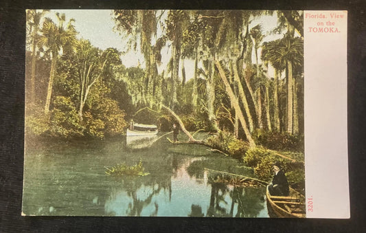 View on the Tomoka, Florida - Vintage Postcard