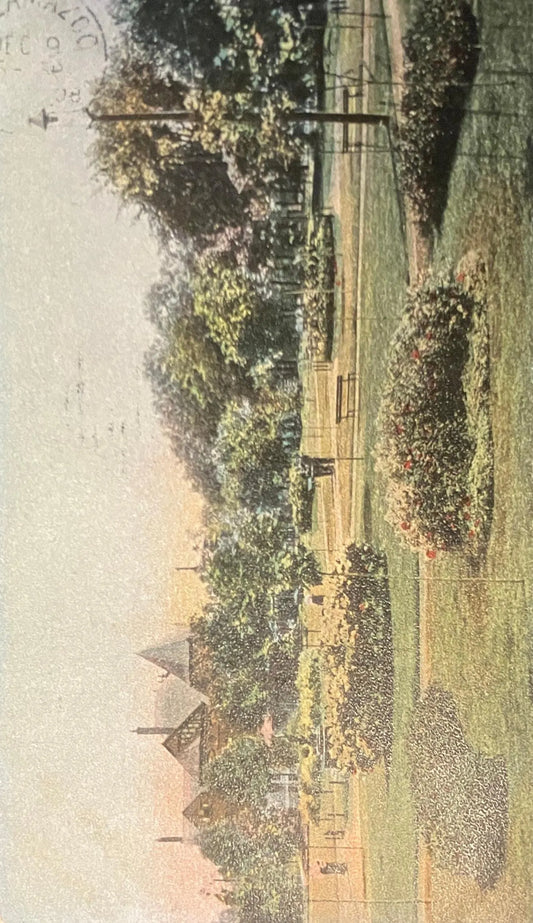 Brand Park, Elmira, New York - Vintage Park Postcard