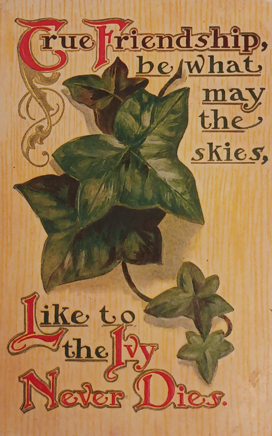 True Friendship Sentiment - Vintage 1910 Postcard