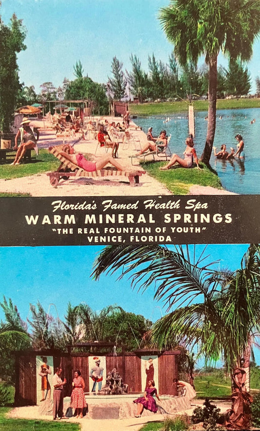 Florida’s Famed Health Spa Warm Mineral Springs “The Real Fountain of Youth” Venice, Florida - Vintage Springs Postcard