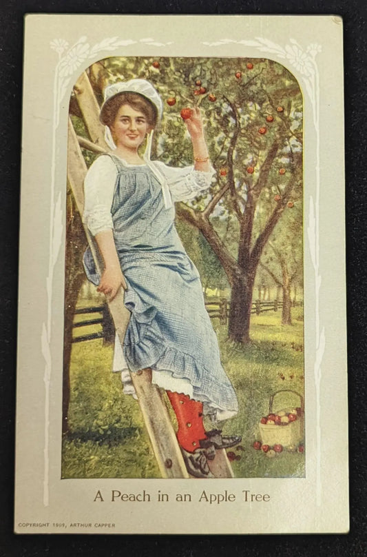 A Peach in an Apple Tree, Michigan - Vintage Romantic Postcard