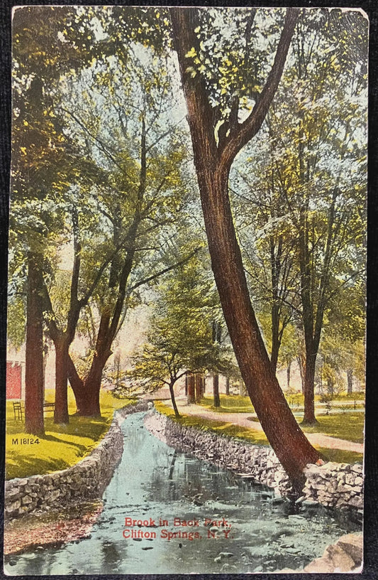 Brook in Back Park, Clifton Springs, New York - Vintage Park Postcard
