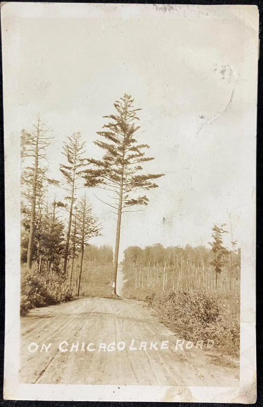 RPPC - Tree in middle of Road On Chicago Lake Road, 1890s California - Vintage Real Photo Postcard