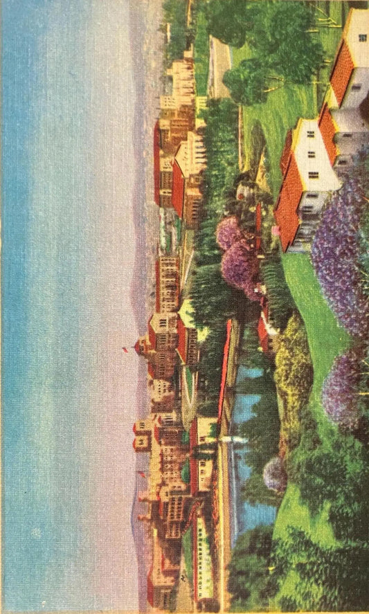 University of California at Los Angeles, California - Vintage University Postcard