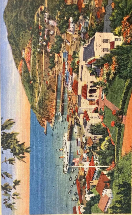 Avalon Bay, Residence of P. K. Wrigley in Foreground, Santa Catalina, California - Vintage Postcard
