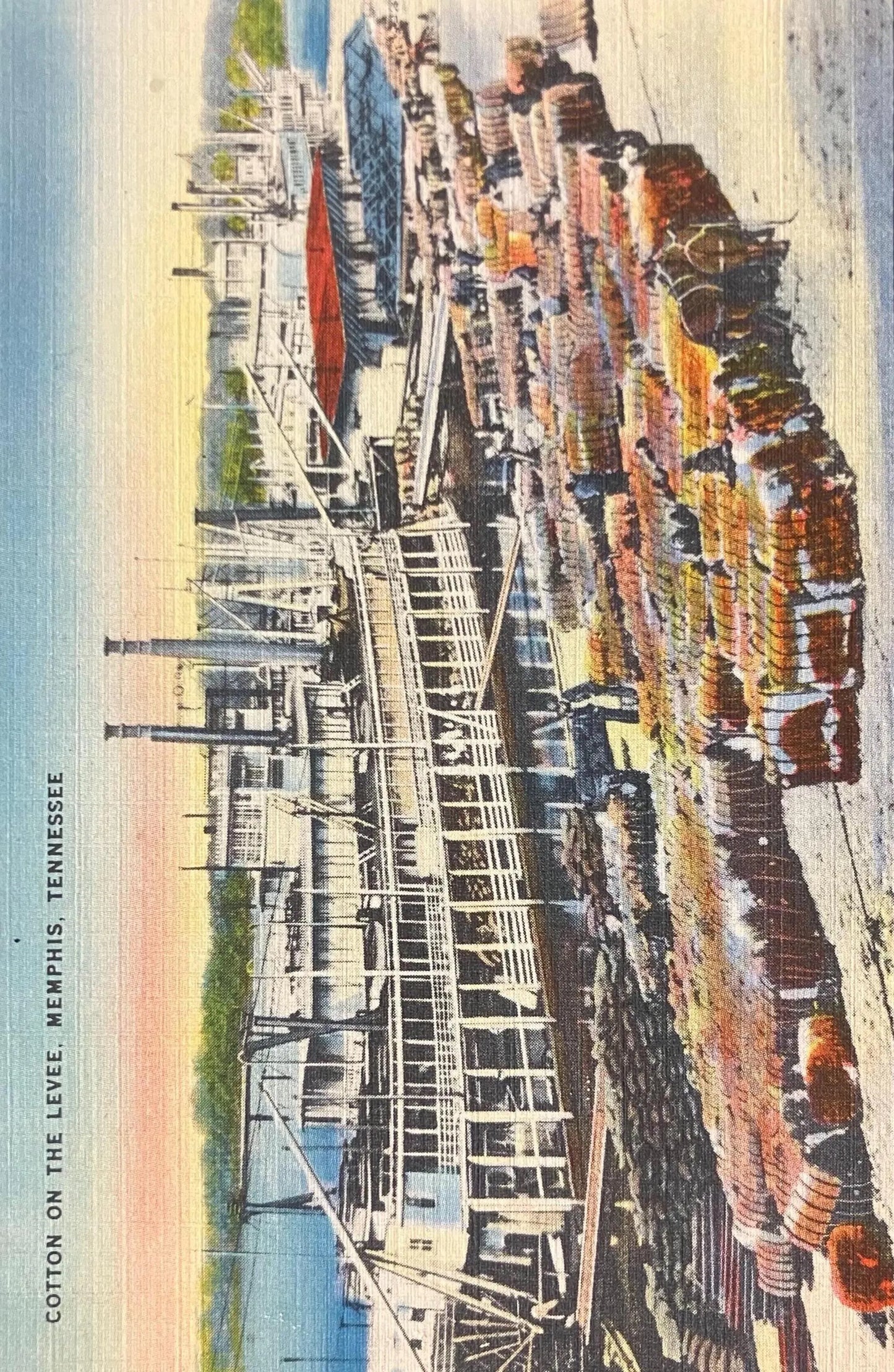 Cotton on the Levee, Memphis, Tennessee - Vintage Boat Postcard