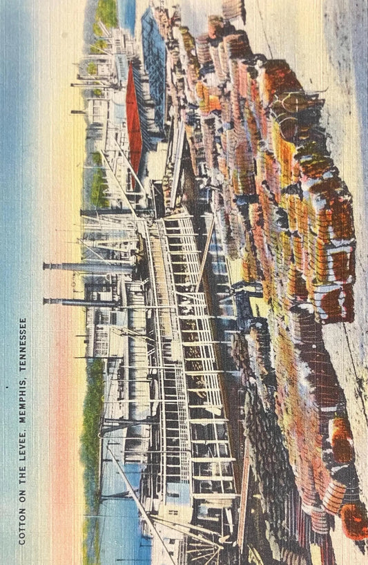 Cotton on the Levee, Memphis, Tennessee - Vintage Boat Postcard