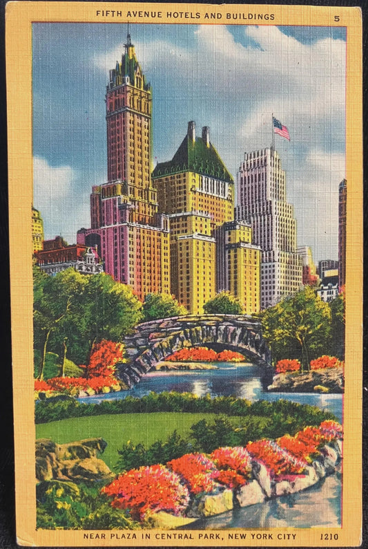 Fifth Avenue Hotels and Buildings - Near Plaza in Central Park, New York City - Vintage Postcard