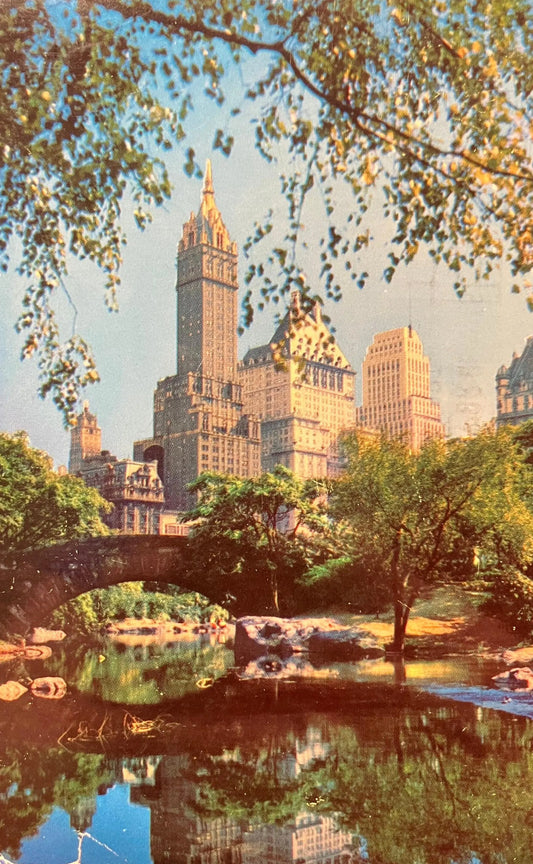 Central Park and Fifth Avenue Hotels, New York City, New York - Vintage Park Postcard