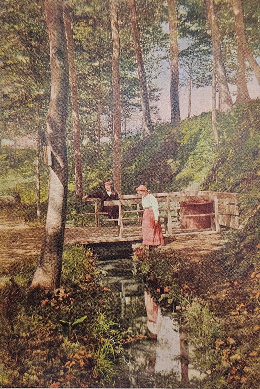 Eastman Springs Man And Woman Bridge Over Creek, Benton Harbor, Michigan - Vintage Postcard