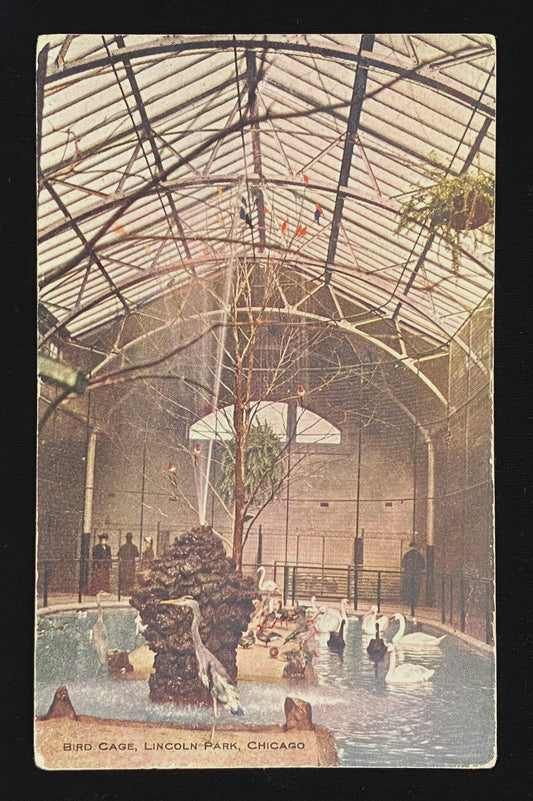Bird Cage, Lincoln Park, Chicago, Illinois - Vintage 1910s Postcard