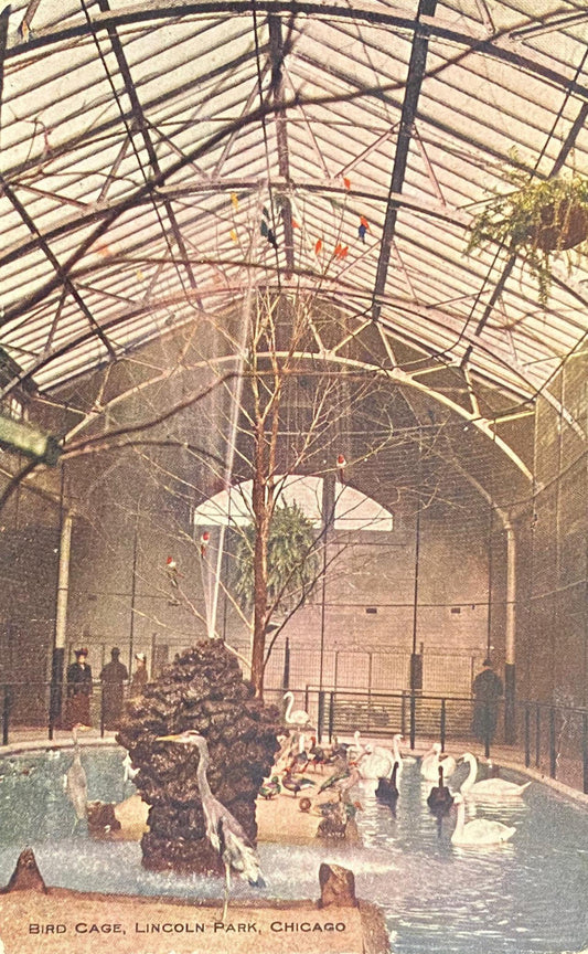 Bird Cage, Lincoln Park, Chicago, Illinois - Vintage 1910s Postcard