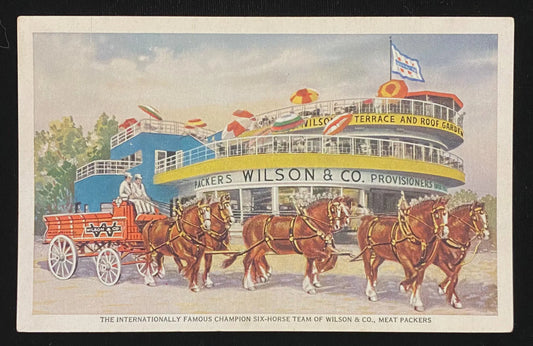 The Internationally Famous Champion Six-Horse Team of Wilson & Co., Meat Packers - Vintage Postcard