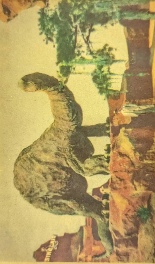 Sinclair Dinosaur Exhibit at the Century of Progress - Vintage Postcard
