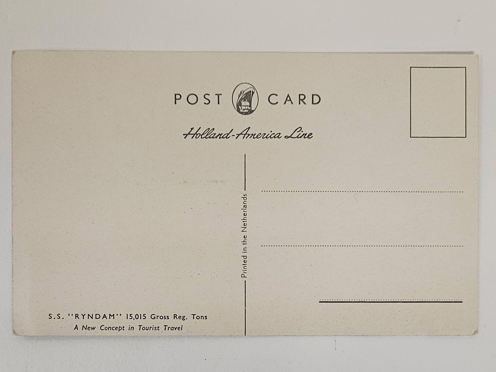 back of postcard of Dutch ship SS Ryndam.  No handwriting, stamp or postmark.