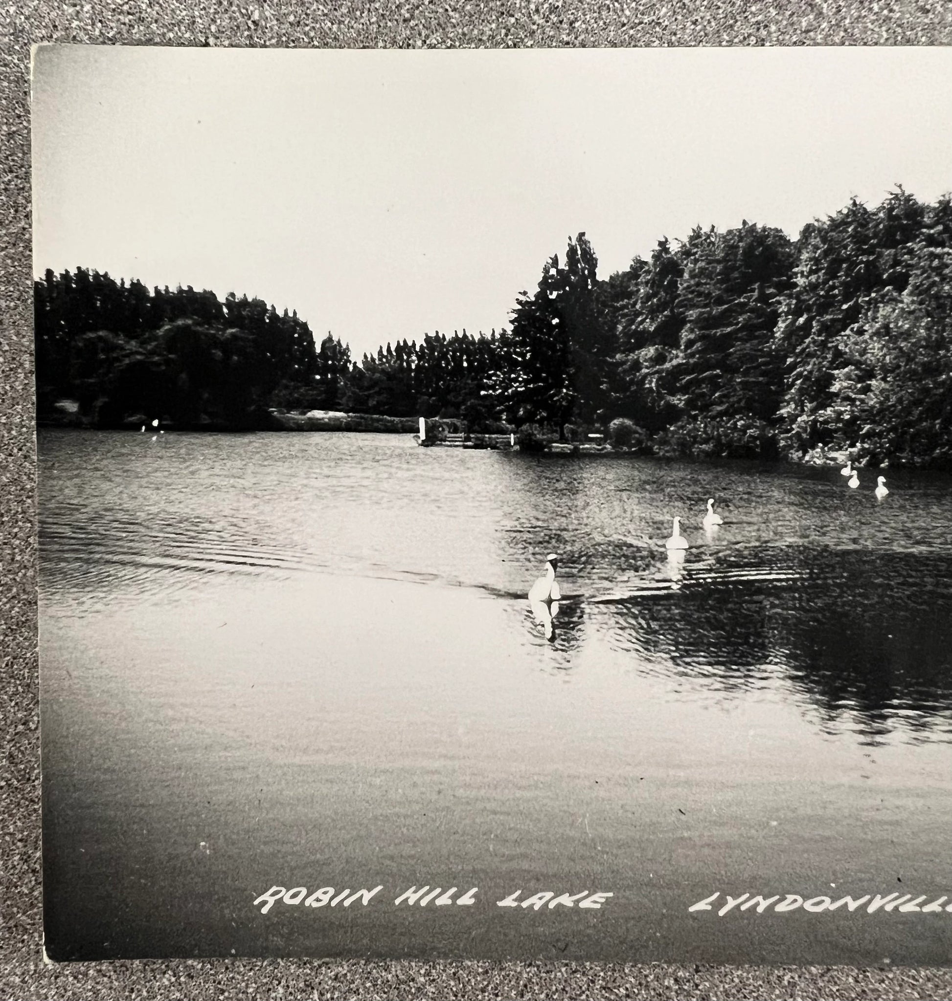 Black and white postcard of Robin Hill Lake, Lyndonville, NY Left portion