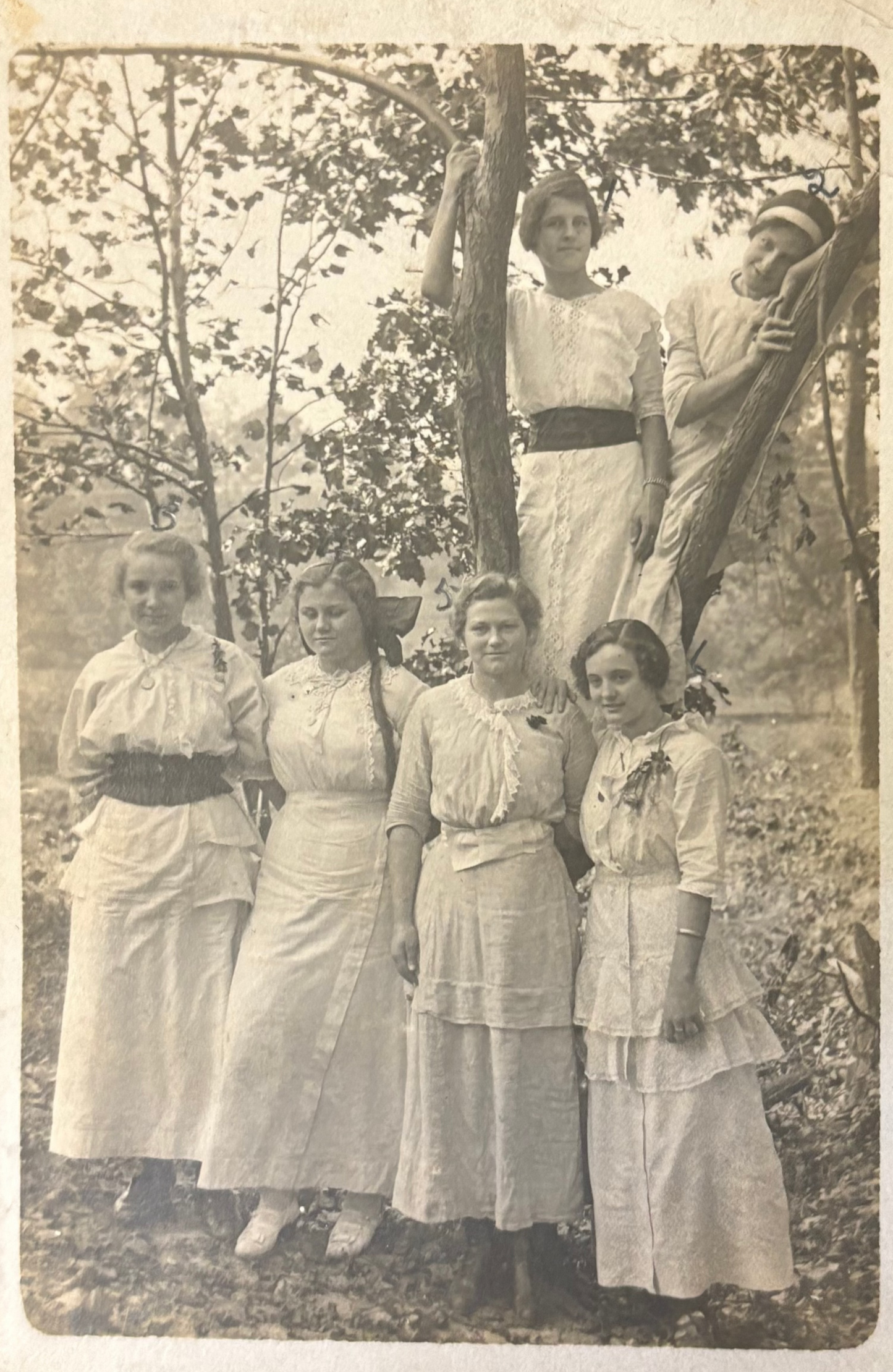 Group of women in vintage attire standing outdoors with trees in the background